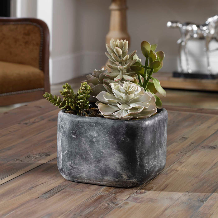Alverio Succulents Charcoal Gray-Home Accents-Uttermost-Lighting Design Store
