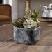 Alverio Succulents Charcoal Gray-Home Accents-Uttermost-Lighting Design Store