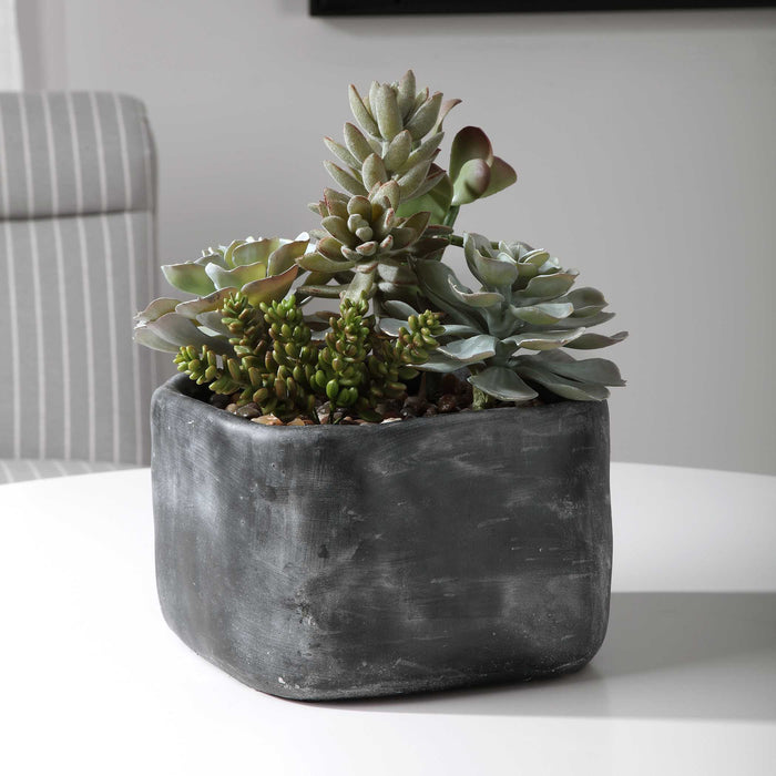 Alverio Succulents Charcoal Gray-Home Accents-Uttermost-Lighting Design Store
