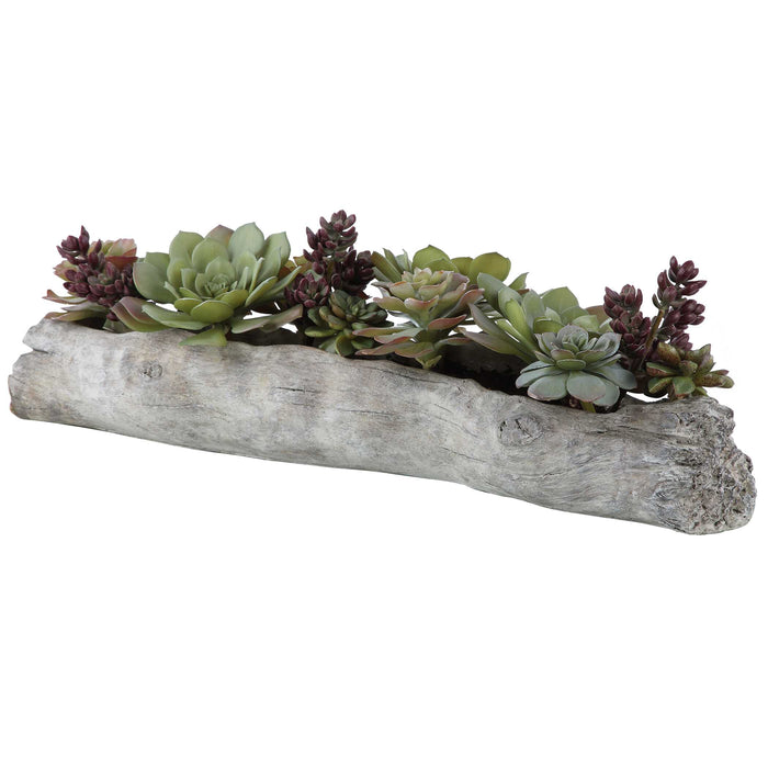 Charita Succulents Greens And Burgundy-Home Accents-Uttermost-Lighting Design Store