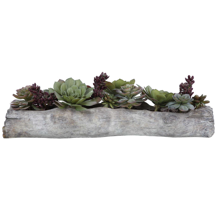 Charita Succulents Greens And Burgundy-Home Accents-Uttermost-Lighting Design Store