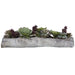 Charita Succulents Greens And Burgundy-Home Accents-Uttermost-Lighting Design Store