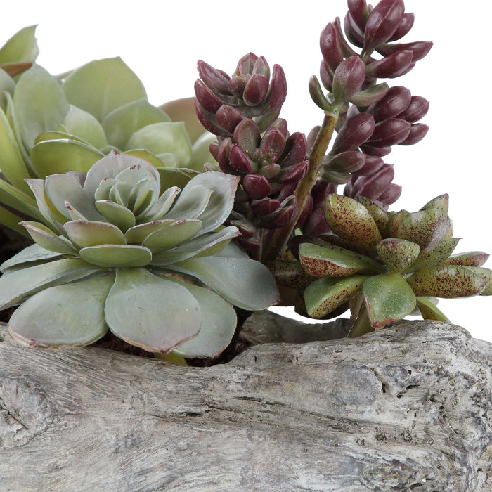 Charita Succulents Greens And Burgundy-Home Accents-Uttermost-Lighting Design Store