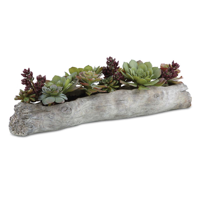 Charita Succulents Greens And Burgundy-Home Accents-Uttermost-Lighting Design Store