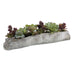 Charita Succulents Greens And Burgundy-Home Accents-Uttermost-Lighting Design Store