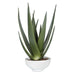 Evarado Planter Glossy White-Home Accents-Uttermost-Lighting Design Store
