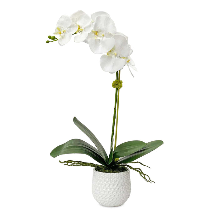 Cami Orchid Orchid Textured White-Home Accents-Uttermost-Lighting Design Store