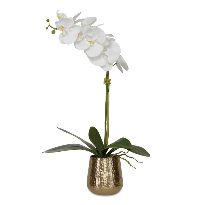 Cami Orchid Artificial Flower Hammered Brass-Home Accents-Uttermost-Lighting Design Store