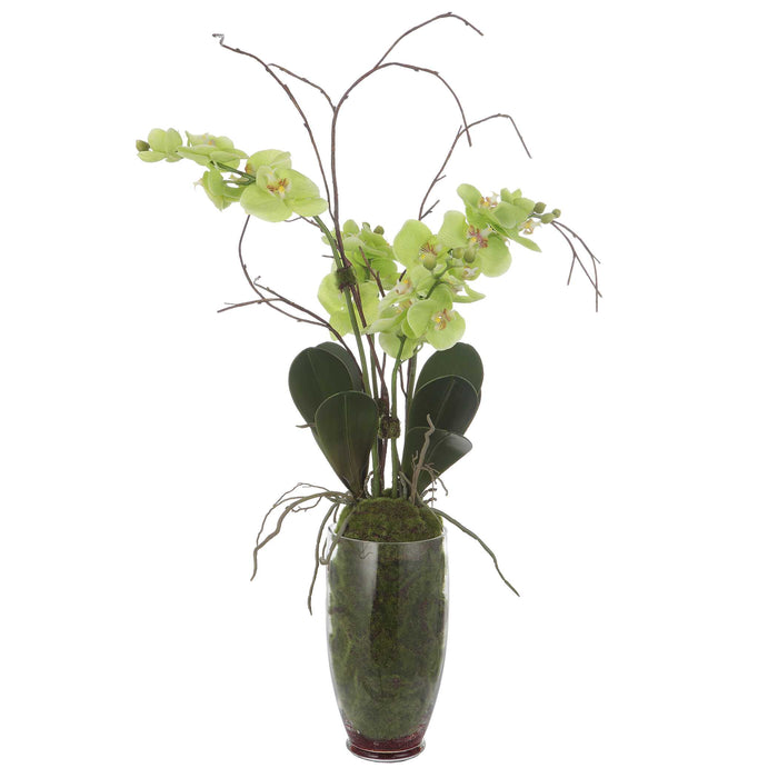 Valdive Artificial Flower Clear-Home Accents-Uttermost-Lighting Design Store