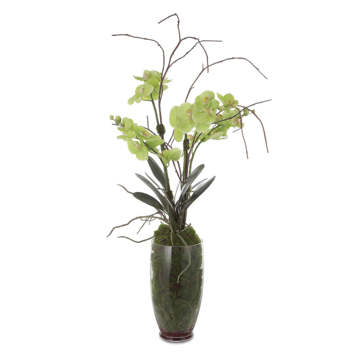 Valdive Artificial Flower Clear-Home Accents-Uttermost-Lighting Design Store