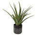 Tucson Planter Textured, Matte And Gloss Glazes-Home Accents-Uttermost-Lighting Design Store