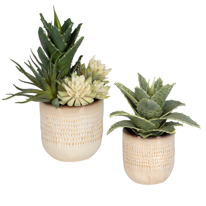 Seaside Succulents Succulents, Set/2 Glazed In Neutral Tan-Home Accents-Uttermost-Lighting Design Store