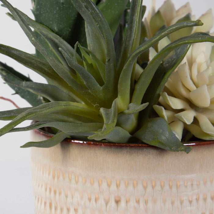 Seaside Succulents Succulents, Set/2 Glazed In Neutral Tan-Home Accents-Uttermost-Lighting Design Store