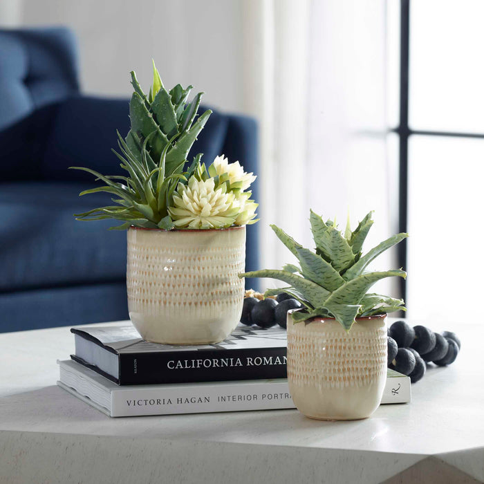 Seaside Succulents Succulents, Set/2 Glazed In Neutral Tan-Home Accents-Uttermost-Lighting Design Store
