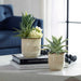 Seaside Succulents Succulents, Set/2 Glazed In Neutral Tan-Home Accents-Uttermost-Lighting Design Store