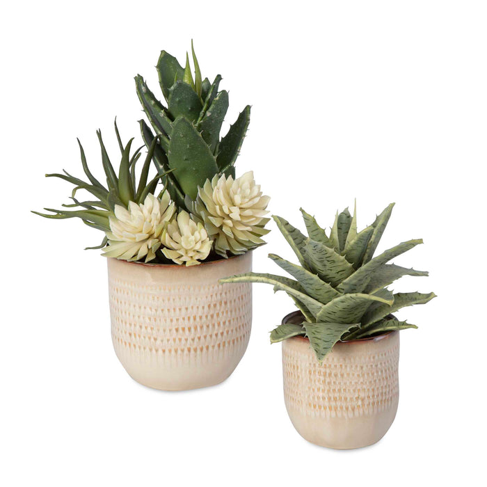 Seaside Succulents Succulents, Set/2 Glazed In Neutral Tan-Home Accents-Uttermost-Lighting Design Store