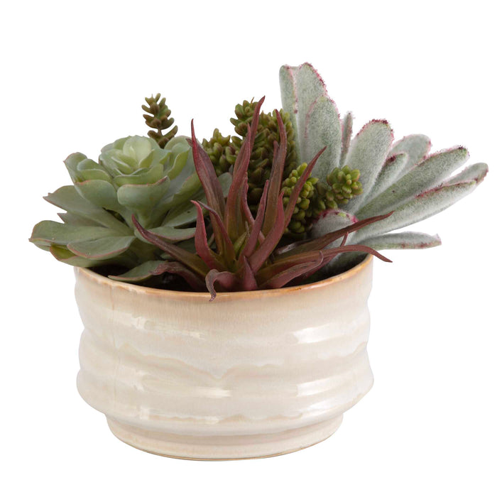 Mesa Succulent Succulent Accent Textured Tan-Home Accents-Uttermost-Lighting Design Store