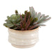 Mesa Succulent Succulent Accent Textured Tan-Home Accents-Uttermost-Lighting Design Store