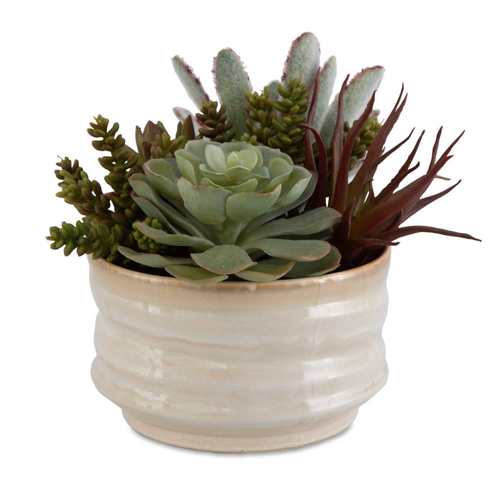 Mesa Succulent Succulent Accent Textured Tan-Home Accents-Uttermost-Lighting Design Store
