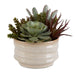 Mesa Succulent Succulent Accent Textured Tan-Home Accents-Uttermost-Lighting Design Store