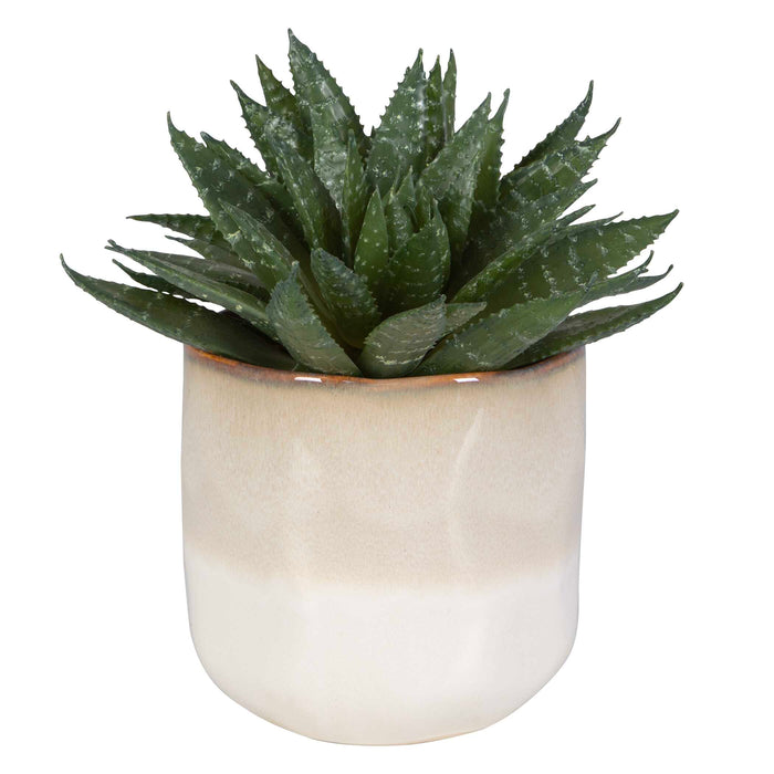 Doha Succulent Accent Green And Burgundy-Home Accents-Uttermost-Lighting Design Store