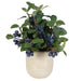 Blueberry Fields Fields Accent Blueberry-Home Accents-Uttermost-Lighting Design Store