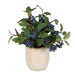 Blueberry Fields Fields Accent Blueberry-Home Accents-Uttermost-Lighting Design Store