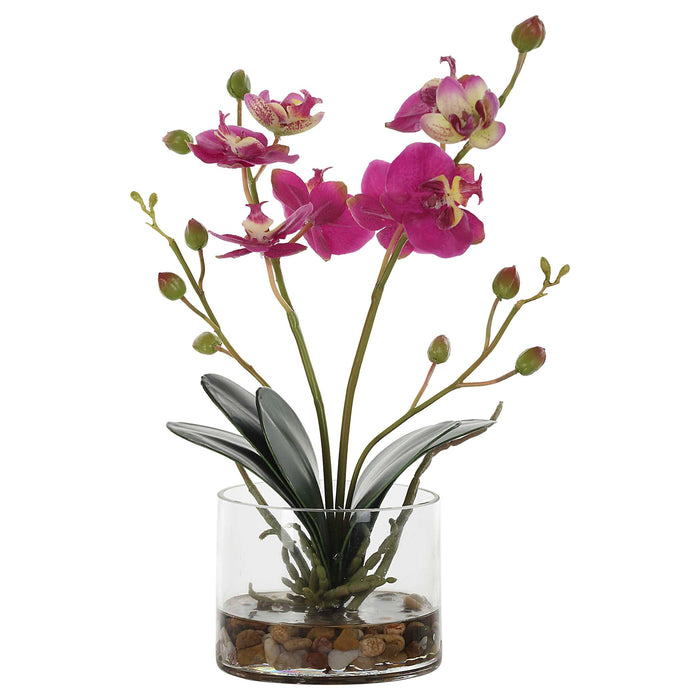 Glory Orchid Orchid Fuchsia-Home Accents-Uttermost-Lighting Design Store