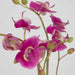 Glory Orchid Orchid Fuchsia-Home Accents-Uttermost-Lighting Design Store