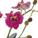 Glory Orchid Orchid Fuchsia-Home Accents-Uttermost-Lighting Design Store