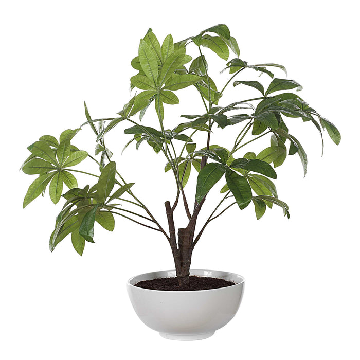 Pachira Money Tree Glossy White-Home Accents-Uttermost-Lighting Design Store