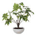 Pachira Money Tree Glossy White-Home Accents-Uttermost-Lighting Design Store