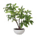 Pachira Money Tree Glossy White-Home Accents-Uttermost-Lighting Design Store