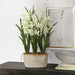 Ariana Orchid Planter Cream-Home Accents-Uttermost-Lighting Design Store