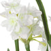 Lacey Daffodil Accent Arrangement Paperwhite-Home Accents-Uttermost-Lighting Design Store