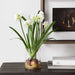 Lacey Daffodil Accent Arrangement Paperwhite-Home Accents-Uttermost-Lighting Design Store