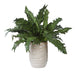 Verdure Fern Glazed Pot Textured Tan-Home Accents-Uttermost-Lighting Design Store