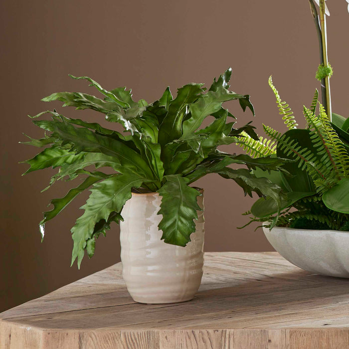 Verdure Fern Glazed Pot Textured Tan-Home Accents-Uttermost-Lighting Design Store