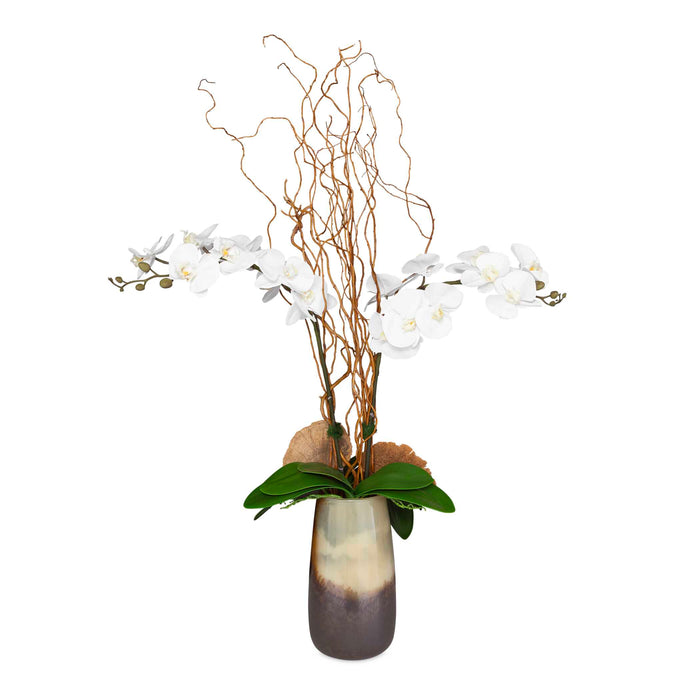 Earthbound Orchid Orchid With Vase Natural Textures-Home Accents-Uttermost-Lighting Design Store