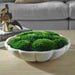 Awaken Moss Centerpiece Ivory-Home Accents-Uttermost-Lighting Design Store