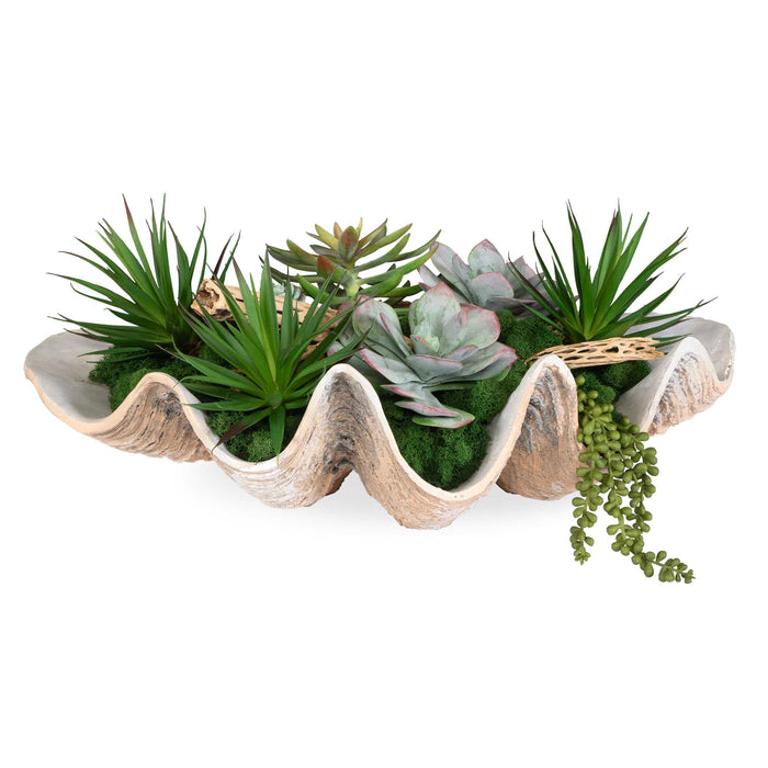 Seaside Breeze Succulents Natural-Home Accents-Uttermost-Lighting Design Store