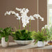 Flourish Orchid Centerpiece White-Home Accents-Uttermost-Lighting Design Store