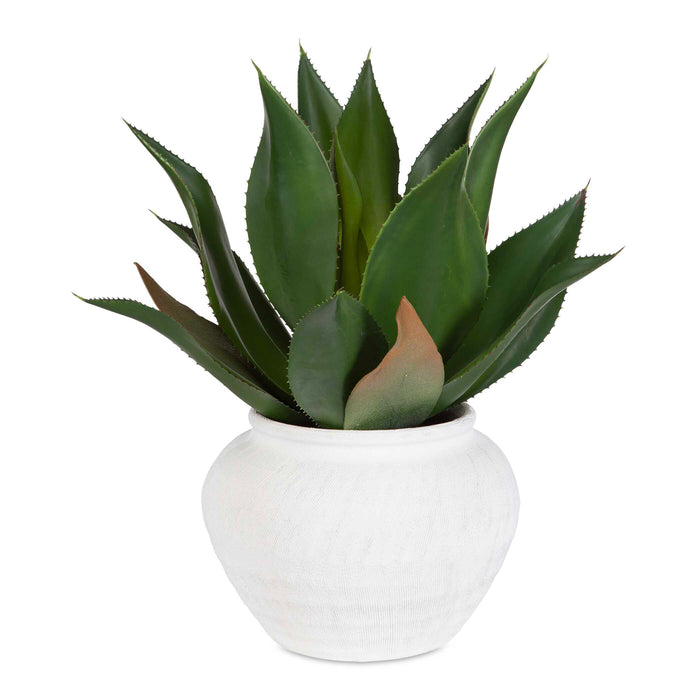 Tierra Agave Centerpiece With Vase Organic Etched Texture-Home Accents-Uttermost-Lighting Design Store