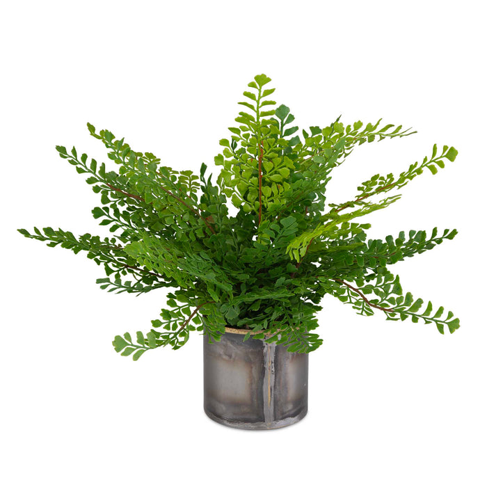 Maidenhair Fern Container Gold-Home Accents-Uttermost-Lighting Design Store