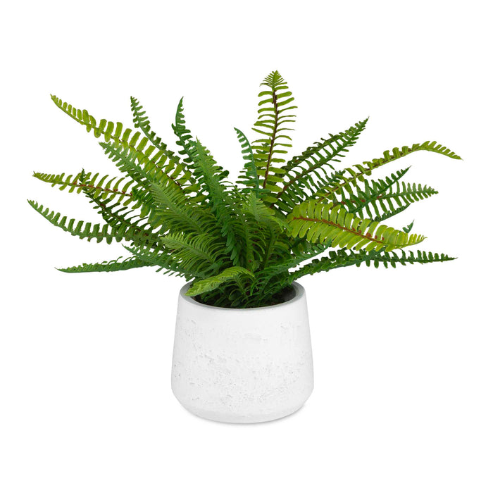 Boston Fern Ceramic Pot White-Home Accents-Uttermost-Lighting Design Store