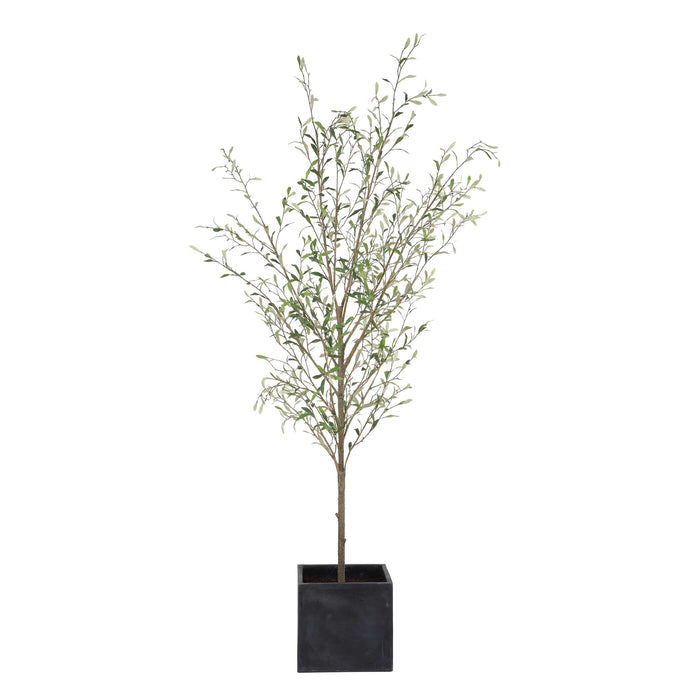 Abundance Tree Olive-Home Accents-Uttermost-Lighting Design Store