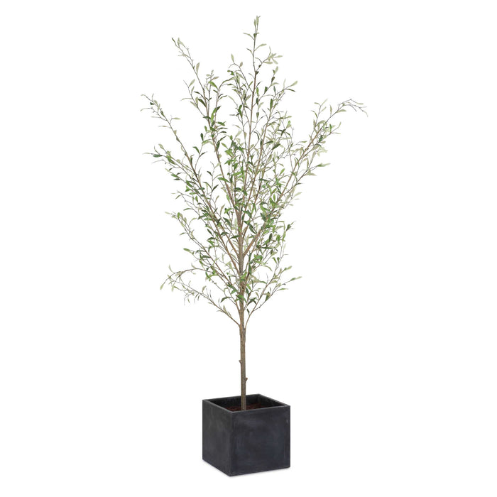 Abundance Tree Olive-Home Accents-Uttermost-Lighting Design Store