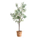 Olea Tree Terracotta-Home Accents-Uttermost-Lighting Design Store