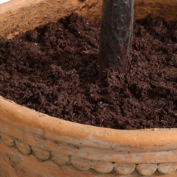 Olea Tree Terracotta-Home Accents-Uttermost-Lighting Design Store