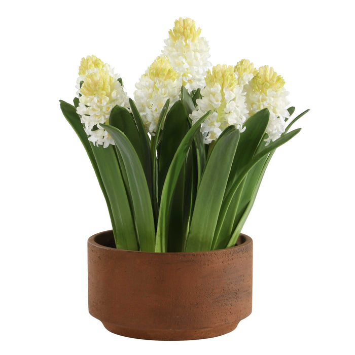 Sincerity Hyacinth Plant Terracotta-Home Accents-Uttermost-Lighting Design Store